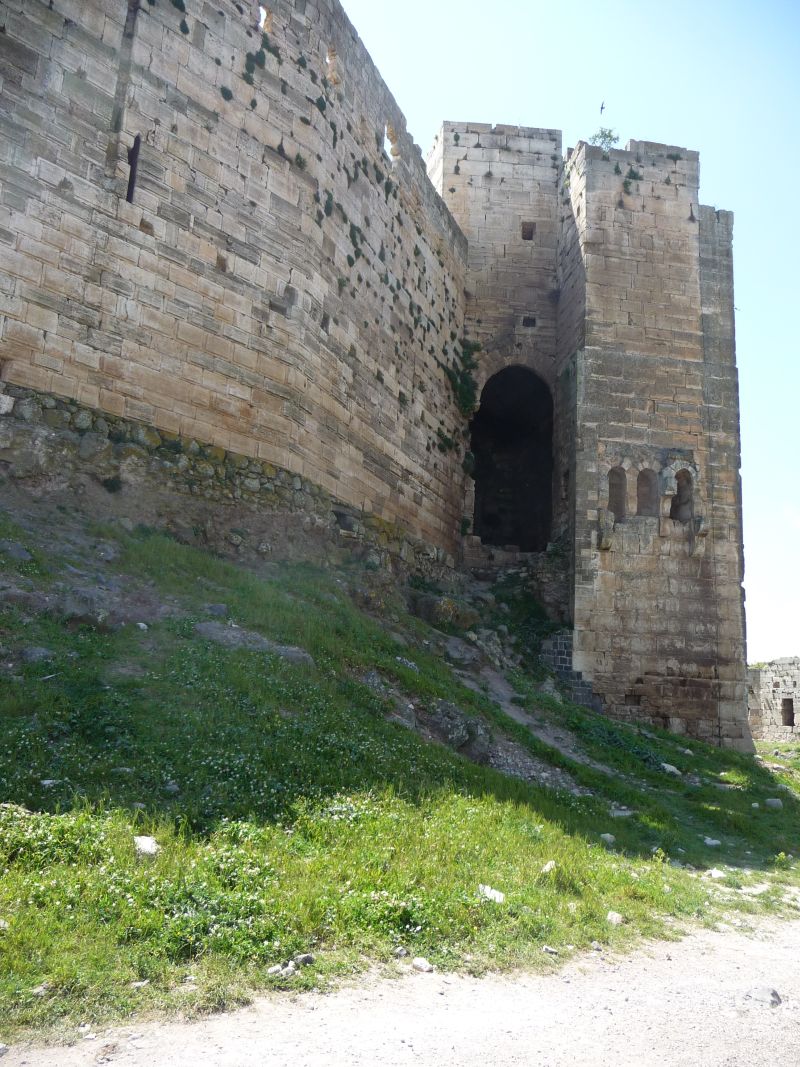 P1030043.JPG